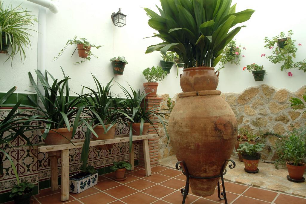 Apartamentos Tio Jose Maria Hinojares Luaran gambar